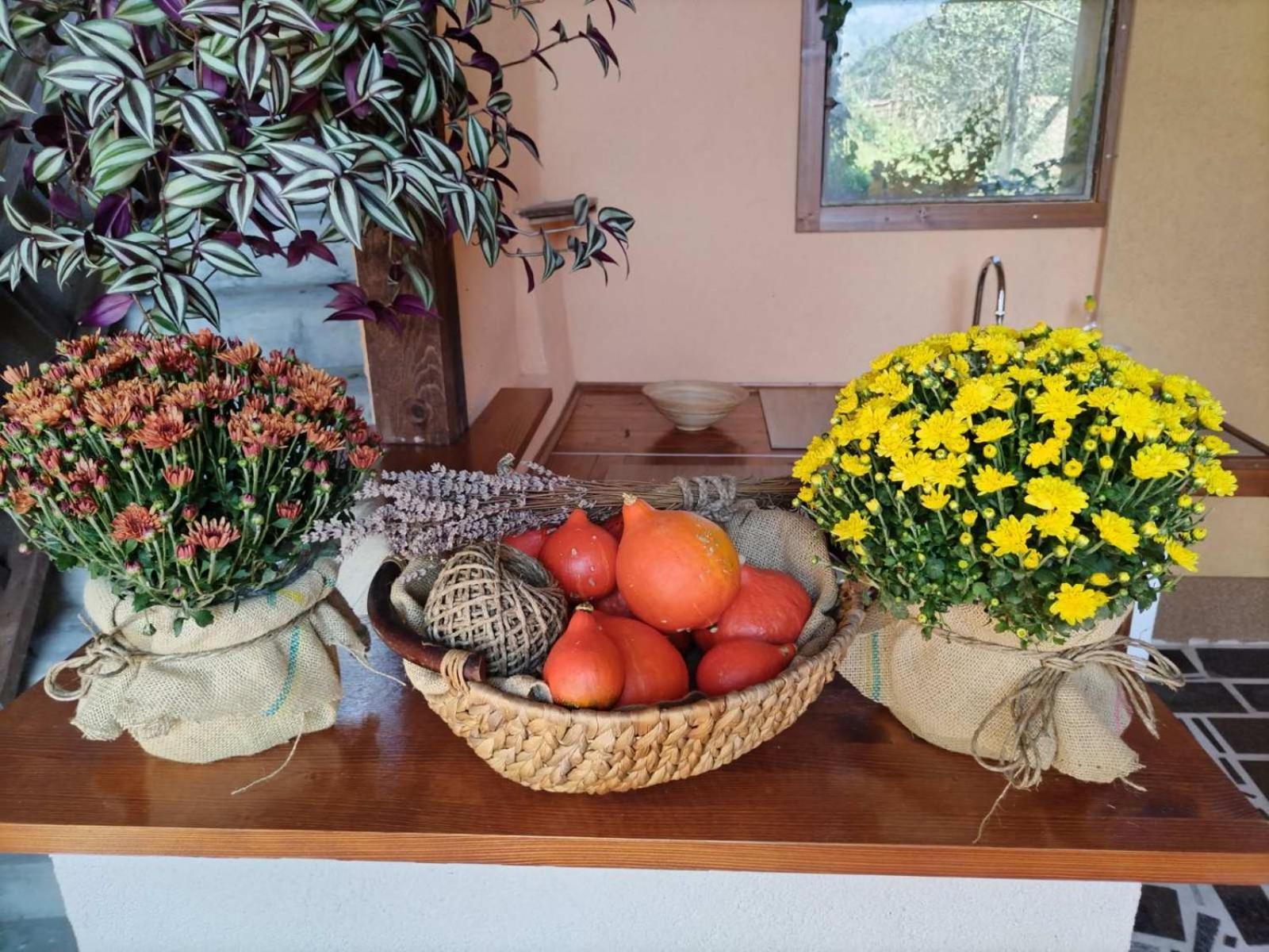 Kuca Za Odmor La Mia Casa Apartment